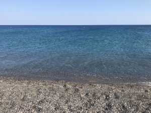 IMG_1096
