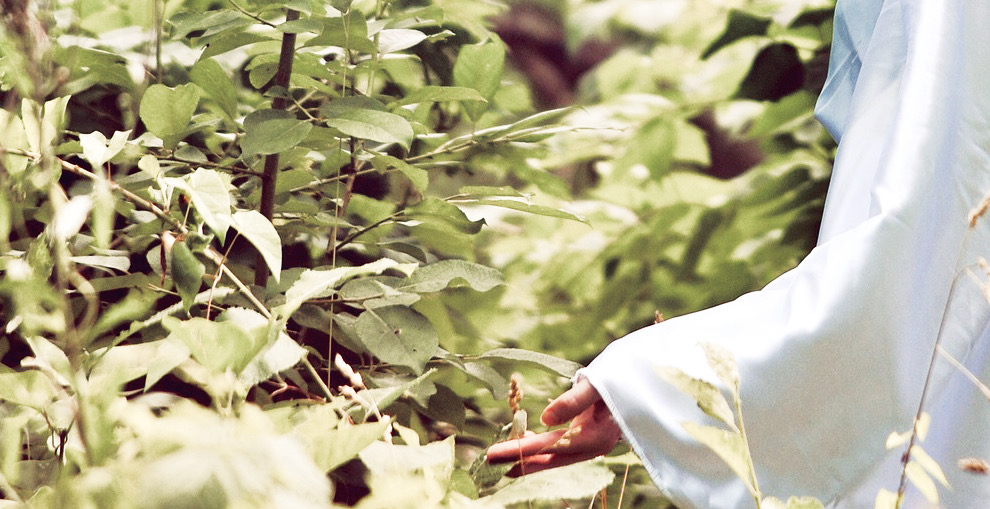 You are currently viewing Damals in Phönizien